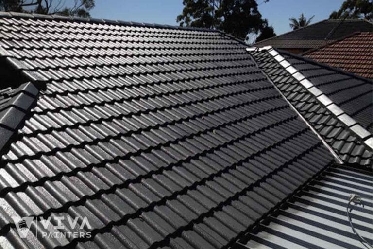 Roof Painting Adelaide 26 roof painting