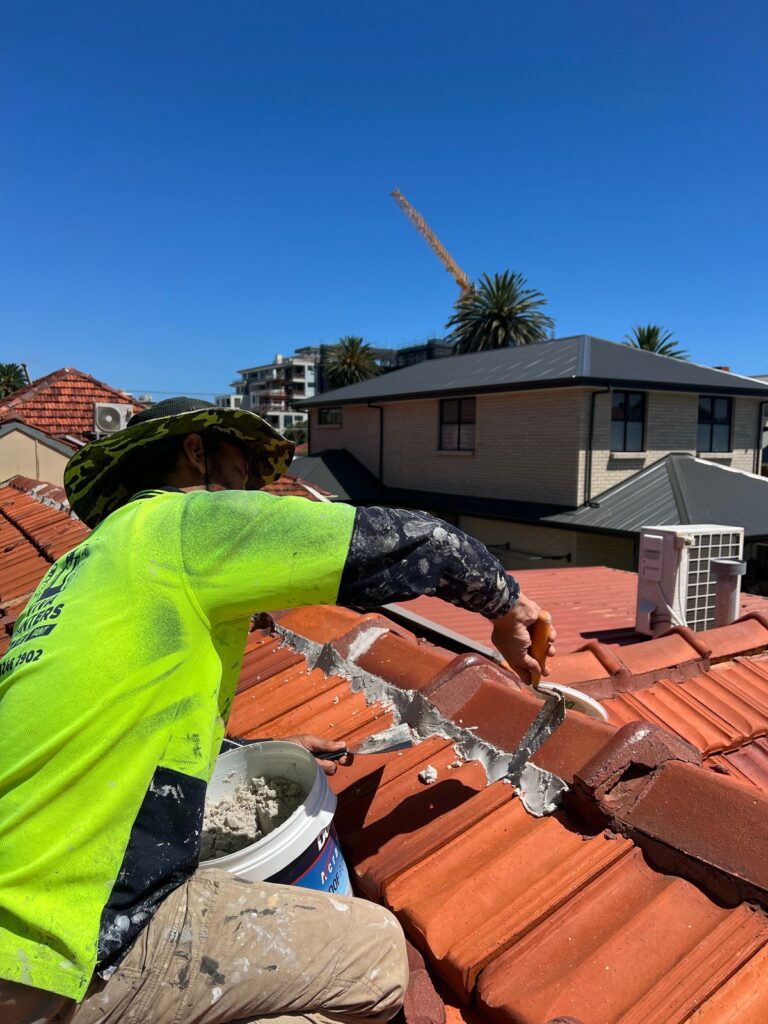 Tile Roof Painting & Restoration